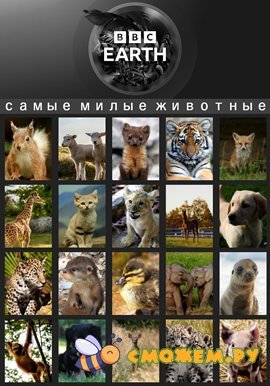 BBC: Самые милые животные / Super Cute Animals