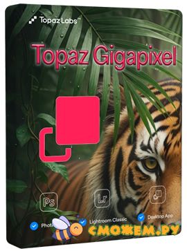 Topaz Gigapixel Pro 1.1.1