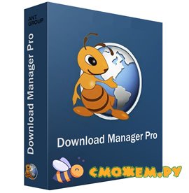 ant download manager