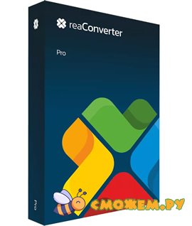 reaconverter pro