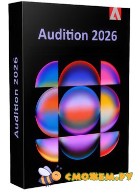 audition 2026