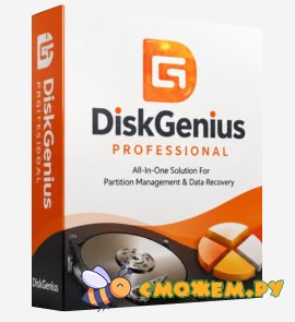 diskgenius pro